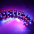 WS2812B / SK6812 RGB LED-Band-Farbe Volle SPI Digital LED-Neonbeleuchtung